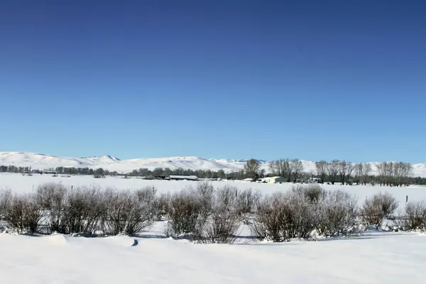 Південний Айдахо в зимовий період — стокове фото