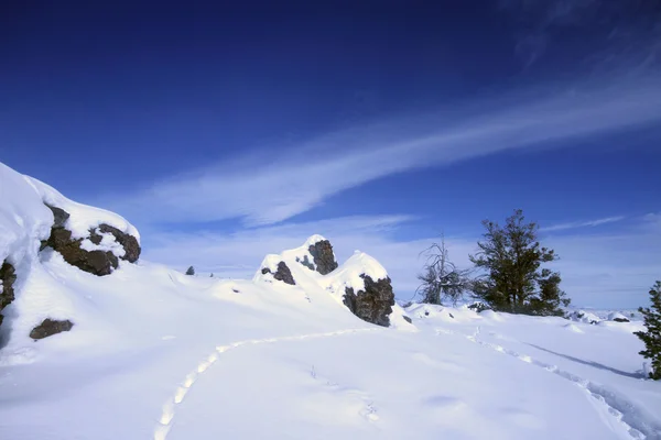 Idaho meridionale in inverno — Foto Stock