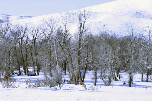 Sud de l'Idaho en hiver — Photo