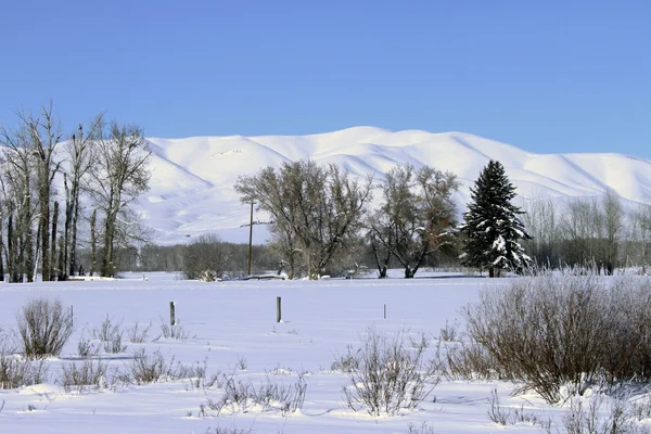 Südliches Idaho im Winter — Stockfoto