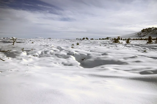 Idaho meridionale in inverno — Foto Stock