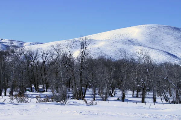 Південний Айдахо в зимовий період — стокове фото