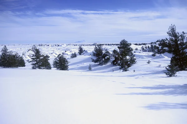 Idaho meridionale in inverno — Foto Stock