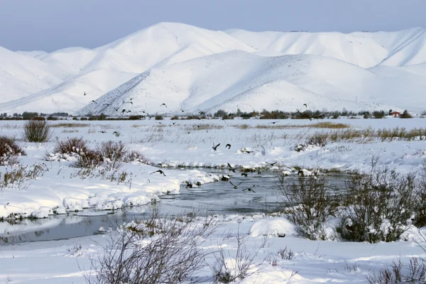 Sur de Idaho en invierno — Foto de Stock