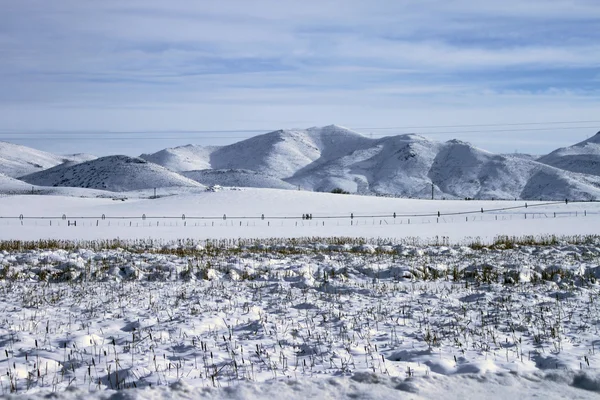 Idaho meridionale in inverno — Foto Stock