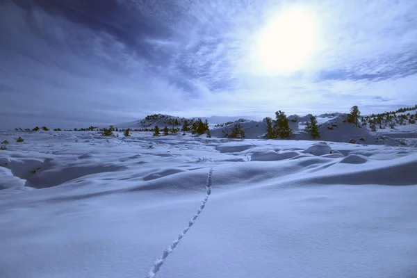 Idaho meridionale in inverno — Foto Stock