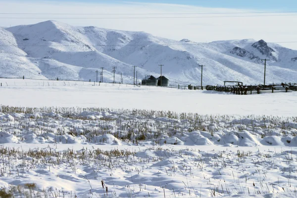 冬に南アイダホ — ストック写真