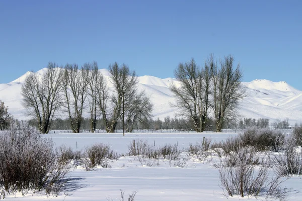 Südliches Idaho im Winter — Stockfoto