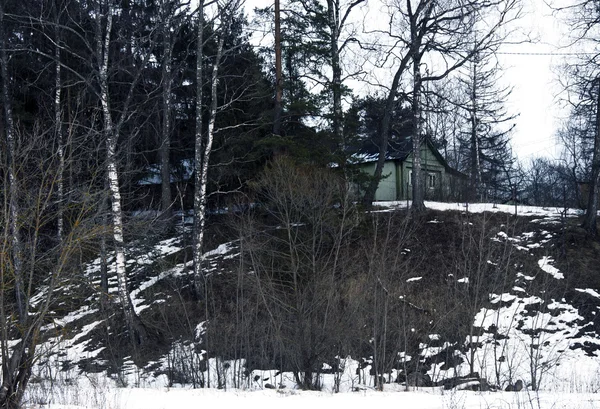 冬天在森林里的房子 — 图库照片