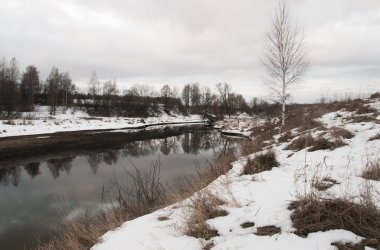 Nehir kıyısında ağaçta yansıması