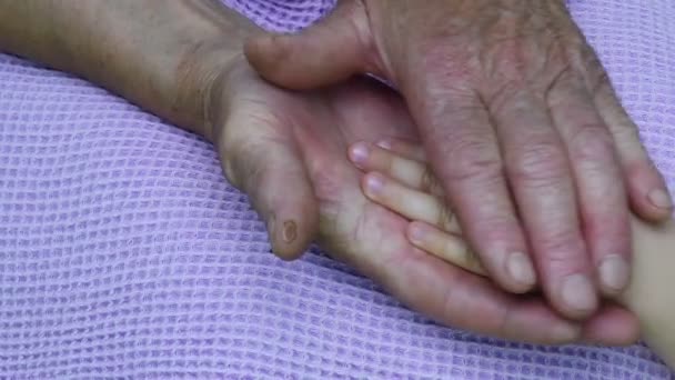 Little hand in old hands pating gentle. Granny hand and kid hand touching each other — Stock Video