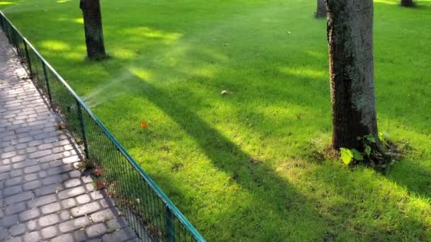 緑の芝生の芝生に水を噴霧シュプリンクラー。公園内の自動散水システム — ストック動画