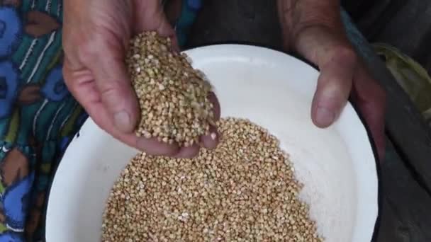 Manciata di vecchia donna versando grano saraceno crudo in ciotola bianca rustica — Video Stock
