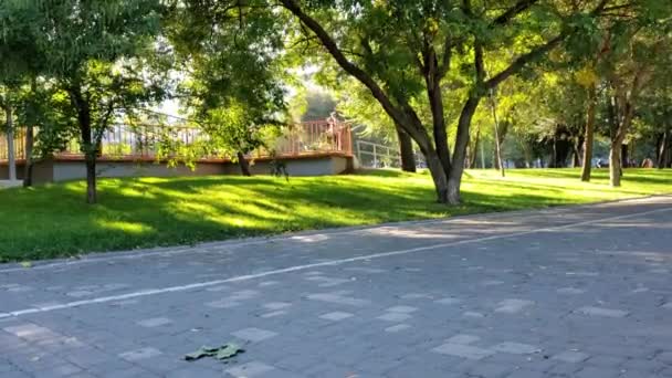 Les gens marchant par la chaussée carrelée dans le parc public. Mode de vie temps écoulé — Video