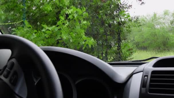 Regen stroom giet door transparante voorruit met onscherpe achtergrond van groene boom gebladerte — Stockvideo