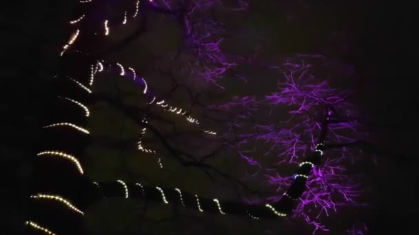 Blinkende Lichterketten an Baumstamm und Zweigen mit lila Illumination der Zweige in der Nacht — Stockvideo