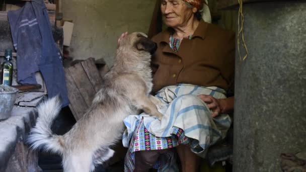 Vita rustica domestica di cane invecchiato con donna anziana a casa in campagna — Video Stock