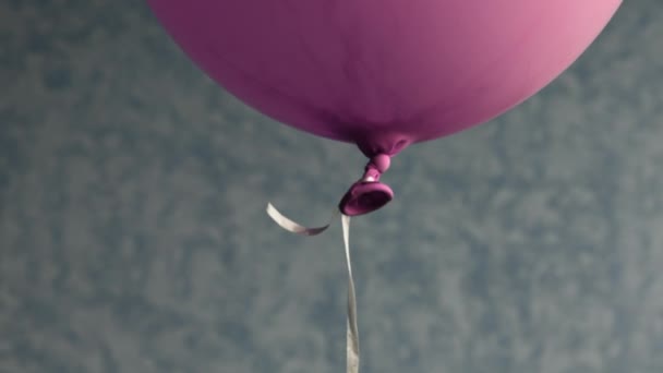 Гелиевый шар пурпурного цвета плавающий на размытом фоне с копировальным пространством — стоковое видео