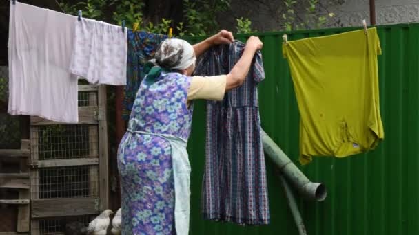 Femme âgée en vêtements traditionnels accrocher blanchisserie sur des pinces à linge en plein air dans la cour arrière rurale avec des poulets pâturage — Video