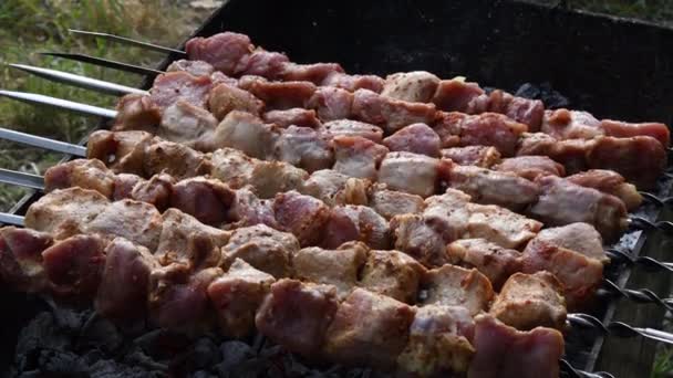 Barbecue gegrilde shashlik draaien op spiesen op houtskool grill. Picknick voedsel koken buiten — Stockvideo