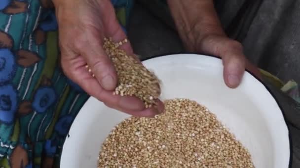 Palmera de mano mayor llena de grañones de trigo sarraceno crudo esparciendo grano por grano en un tazón blanco — Vídeo de stock