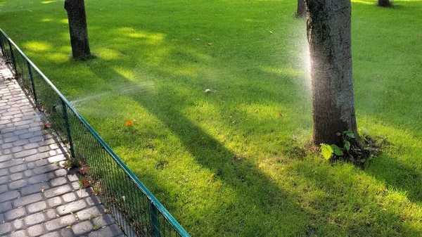 Sprinkler sprutning vatten till grön gräsmatta. Automatiskt bevattningssystem i parken — Stockfoto