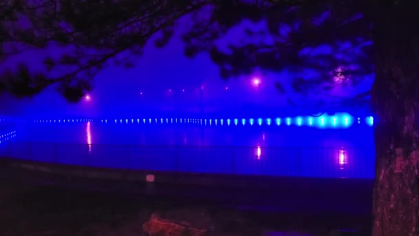 밤에 연못의 다채 로운 조명 — 비디오