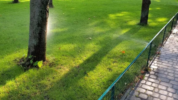 Aspersor de pulverização de água para gramado de grama verde. Sistema automático de rega no parque — Fotografia de Stock