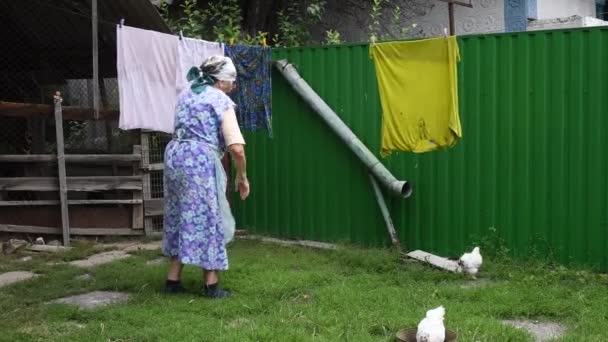 80. léta starší žena na venkově lidové oblečení pověsit prádelna na oblečení kolíky na dvorku a mluvit se slepicemi — Stock video