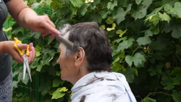 Kadın elleri arka bahçedeki 4K UHD video görüntülerinde yaşlı birinin gri saçlarını kesiyor. — Stok video