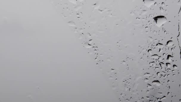 Монохромный фон из мокрого стекла с капельницами и копировальным пространством — стоковое видео