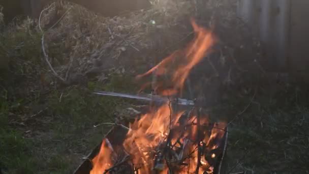 Fuego ardiendo al aire libre. Ramitas y ramas secas en llamas de fogata sobre fondo rústico borroso — Vídeos de Stock