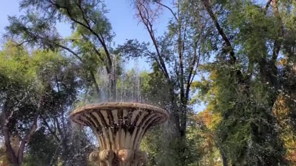 Defokussieren Wasserstrahlen von verzierten Brunnen Skulptur mit Baum Laub Hintergrund — Stockvideo