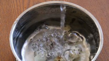 Temiz su, küçük bıldırcın yumurtalarıyla metal kaba dökülüyor. Kaynamaya hazır.