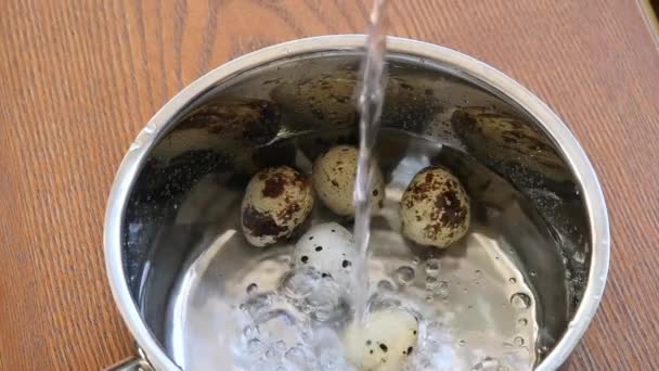 Água vertendo em panela de metal com minúsculos ovos de codorna prontos para cozinhar fervura — Vídeo de Stock