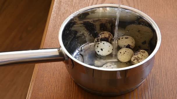 Stainless steel sauce pot with quail eggs inside and water pouring over and making bubbles — Stock Video