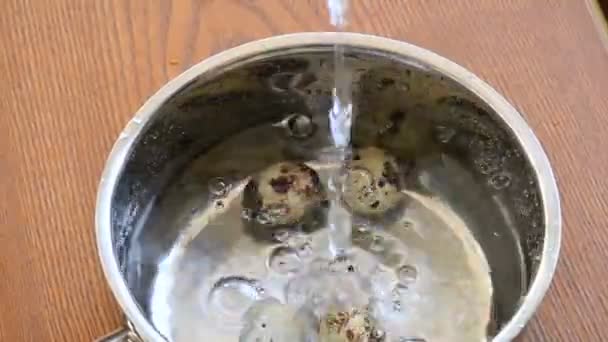 Acqua versata in pentola di salsa di metallo con uova di quaglia crude pronte a cuocere bollente — Video Stock