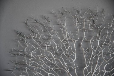 Boyanmış kıvırcık dalların gri palet estetik dokusu ve gri duvar arkaplanı