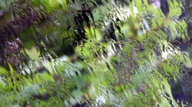 Bulanık yağmur, yeşil çözünmüş arka planla şeffaf ön camdan akıyor. Sonbahar yağmuru
