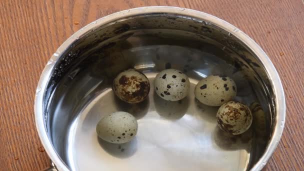 Соус з нержавіючої сталі, наповнений чистою водою та сирими перепелиними яйцями, готовими до кипіння — стокове відео