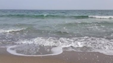 Sahil şeridinde sörf yapılan deniz kenarı manzarası