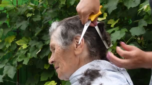 在后院，女手拿着剪刀，剪了80多岁的老年妇女的头发 — 图库视频影像