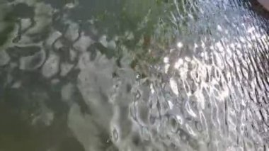 Yanıp sönen güneş gölün dalgalı su yüzeyinde parlıyor.