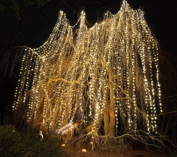 Yılbaşı Bahçesi Berlin 'de dallanmış ağaç aydınlatmasının şaşırtıcı altın ışıkları. Aralık 2018 — Stok fotoğraf