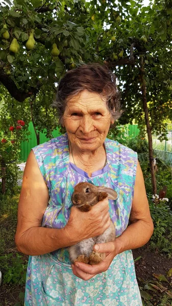 80s aged granny with cute rabbit in hands in front of pear tree — 스톡 사진