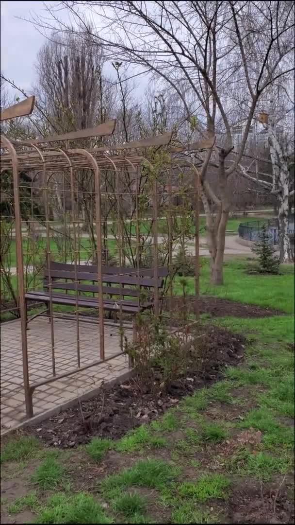 Arbor s prázdnou lavicí u záhonu s květinami pod stromy v jarním parku — Stock video
