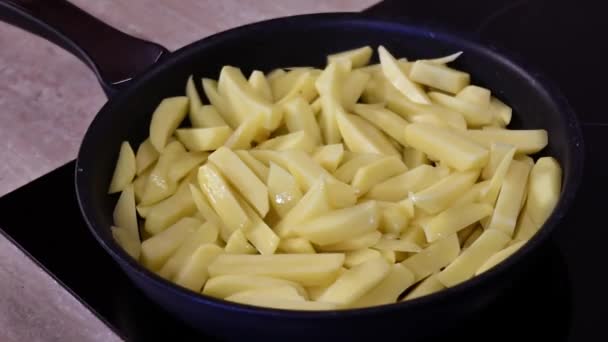 Tid förfaller stekning hemlagad franska pommes frites i pan på spis — Stockvideo