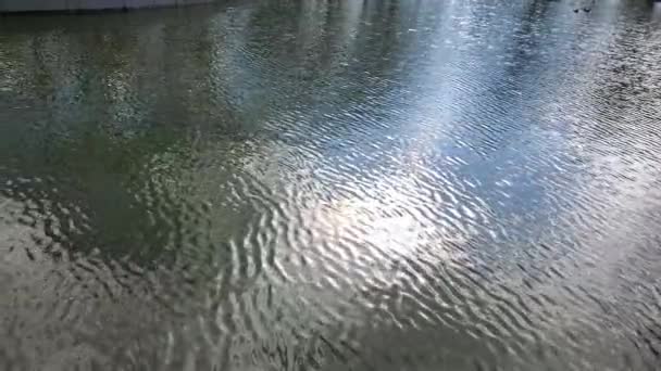 Glänsande vågigt grönt vatten yta av damm med suddig reflektion — Stockvideo