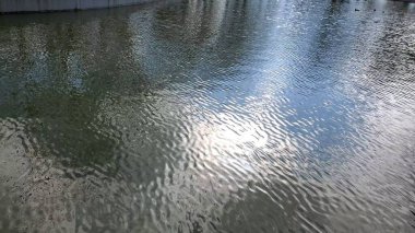 Dalgalı yeşil su yüzeyi, güneş parıltılarıyla dolu. Parlak güneş ışığında bulanık yansımalı dalgalı su dokusu. Sakin sıvı arkaplan