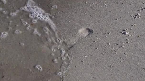 L'empreinte humaine disparaît du sable mouillé dans le surf avec de la mousse de mer — Video